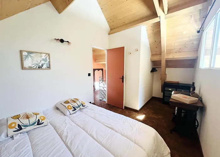 2 For A Large Family Or Group